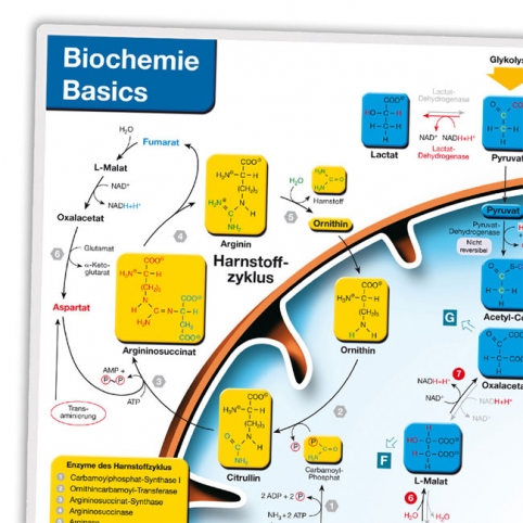 lastschrift bezahlen lastschrift bezahlen