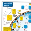 Ausschnitt Lerntafel Biochemie Basic