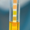 Nicht blutende Plastik-pH-Teststäbchen zur fixen und präzisen pH-Wert-Bestimmung