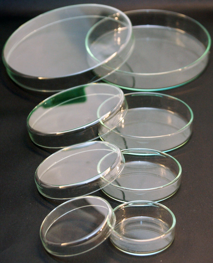 Labor-Petrischalen aus Klarglas, Catering Glaspetrischalen